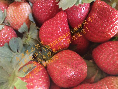 奇源果品 | 品质承诺!时令水果生鲜草莓批发三种品质规格:.